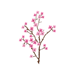 Cherry Flower Branch x4